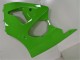 2000-2002 Green Black Kawasaki ZX6R Motorcycle Fairings