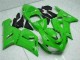 2005-2006 Green Kawasaki ZX6R Motorcycle Fairing
