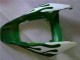 2006-2007 White Green Flame Honda CBR1000RR Motorcycle Fairings