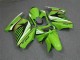 2008-2012 Green White Black Kawasaki EX250 Motorcycle Fairing