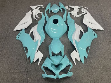2019-2023 White Aqua Blue Kawasaki ZX6R Motorcycle Fairings