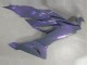 2019-2022 Chameleon Grey Dazz Pearl Purple Kawasaki ZX6R Motorcycle Fairings