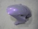 2004-2005 Chameleon Grey Dazz Pearl Purple Honda CBR1000RR Motorcycle Fairings
