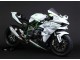 2015-2022 White Silver Green Kawasaki Ninja H2 Motorcycle Fairings