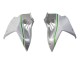 2015-2022 White Silver Green Kawasaki Ninja H2 Motorcycle Fairings