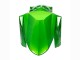2022-2025 Green Glossy Black Kawasaki Versys 650 Motorcycle Fairings