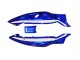 1996-2007 Blue White Black Yamaha YZF600R Thundercat Motorcycle Fairings