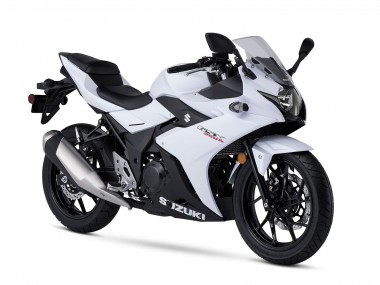 2017-2020 White Black Suzuki GSX250R Motorcycle Fairing Kits