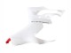 2020-2024 White Red Matte Black Ducati Panigale V2 Motorcycle Fairings
