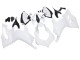2020-2024 Unpainted Ducati Panigale V2 Motorcycle Fairings