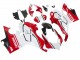 2018-2019 White Red Matte Black Ducati Panigale V4 V4S Motorcycle Fairings