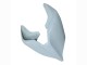 2020-2021 Unpainted Ducati Panigale V4 V4S Motorcycle Fairings