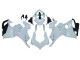 2020-2021 Unpainted Ducati Panigale V4 V4S Motorcycle Fairings