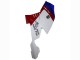 2005-2010 White Red Blue BMW K1200S Abs Fairings