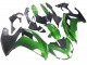 2005-2010 Green Matte Black BMW K1200S Motorcycle Fairings