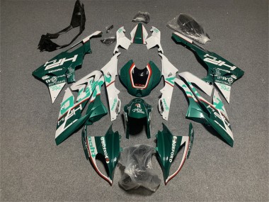 2017-2018 White Green BMW S1000RR Motorcycle Fairings