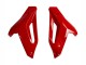 2014-2016 Black Red BMW S1000R Motorcycle Fairings