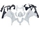 2013-2024 White Black Kawasaki EX300 Motorcycle Fairings