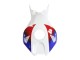 2006-2007 White Red Blue HRC Honda CBR1000RR Motorcycle Fairing