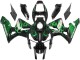 2005-2006 Glossy Black Green Flame Honda CBR600RR Motorcycle Fairings