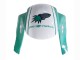 2005-2006 Light Green White Glossy Black JoeRocket Honda CBR600RR Motorcycle Fairings