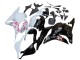 2009-2012 White Cherry Blossom Glossy Black Honda CBR600RR Motorcycle Fairings