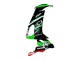 2008-2010 Green White Red Black Monster Elf 66 Kawasaki ZX10R Motorcycle Fairings