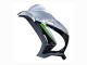 2016-2020 Silver Green Black Kawasaki ZX10R Motorcycle Fairing