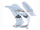2016-2020 White Gold Black Kawasaki ZX10R Motorcycle Fairings