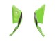 2021-2025 Green Black Red Kawasaki ZX10R Motorcycle Fairings
