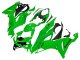 2019-2022 Green Kawasaki ZX6R Motorcycle Fairings