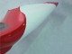 1998-1999 Red White Black Dunlop Yamaha YZF 1000 R1 Motorcycle Fairings