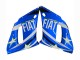 1998-2002 White Blue Neon Yellow Fiat Motul Michelin Yamaha YZF 600 R6 Motorcycle Fairings