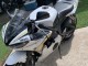2003-2004 White Gold Yamaha YZF R6 Motorcycle Fairings