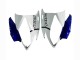 2006-2007 White Blue Jordan Yamaha YZF 600 R6 Motorcycle Fairings