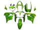 2000-2001 Green Flame Kawasaki ZX9R Motorcycle Fairings