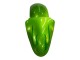 2000-2001 Green Flame Kawasaki ZX9R Motorcycle Fairings