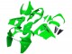 2000-2001 Green Kawasaki ZX9R Motorcycle Fairings