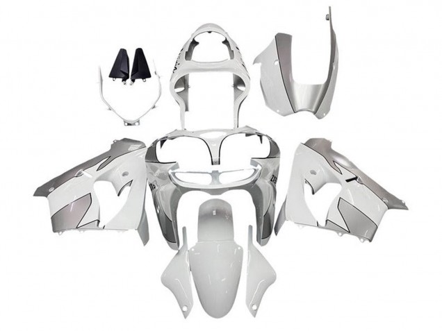 2002-2003 White Silver Kawasaki ZX9R Motorcycle Fairings