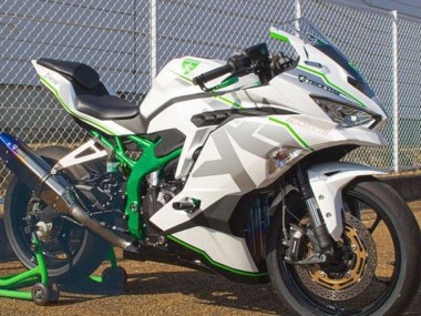 2019-2025 White Silver Green Kawasaki ZX4R ZX-4RR Motorcycle Fairings