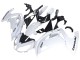 2012-2016 White Black Kawasaki EX650 Motorcycle Fairings